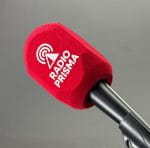 Customized Podcast Mic Windshield - Image 8